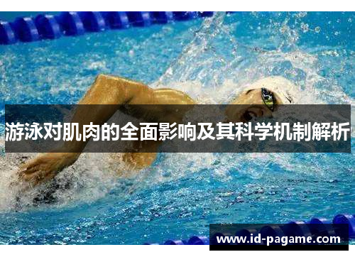 游泳对肌肉的全面影响及其科学机制解析
