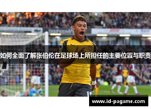如何全面了解张伯伦在足球场上所担任的主要位置与职责 如何全面了解张伯伦在足球场上所担任的主要位置与职责