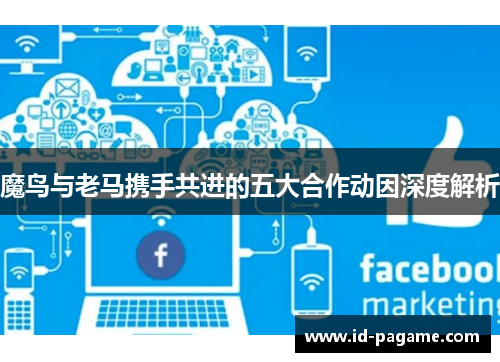 魔鸟与老马携手共进的五大合作动因深度解析 魔鸟与老马携手共进的五大合作动因深度解析