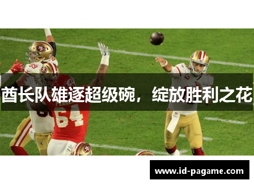 酋长队雄逐超级碗，绽放胜利之花